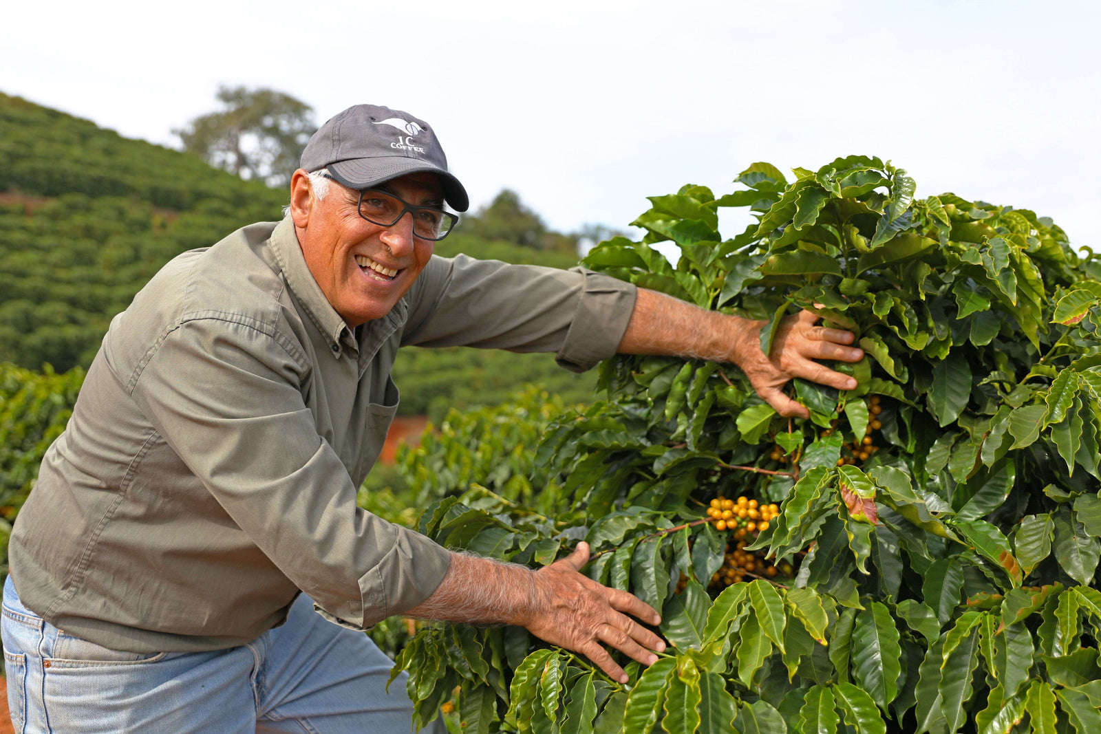 A Brazilian farmer shows off his yellow Catuai crop