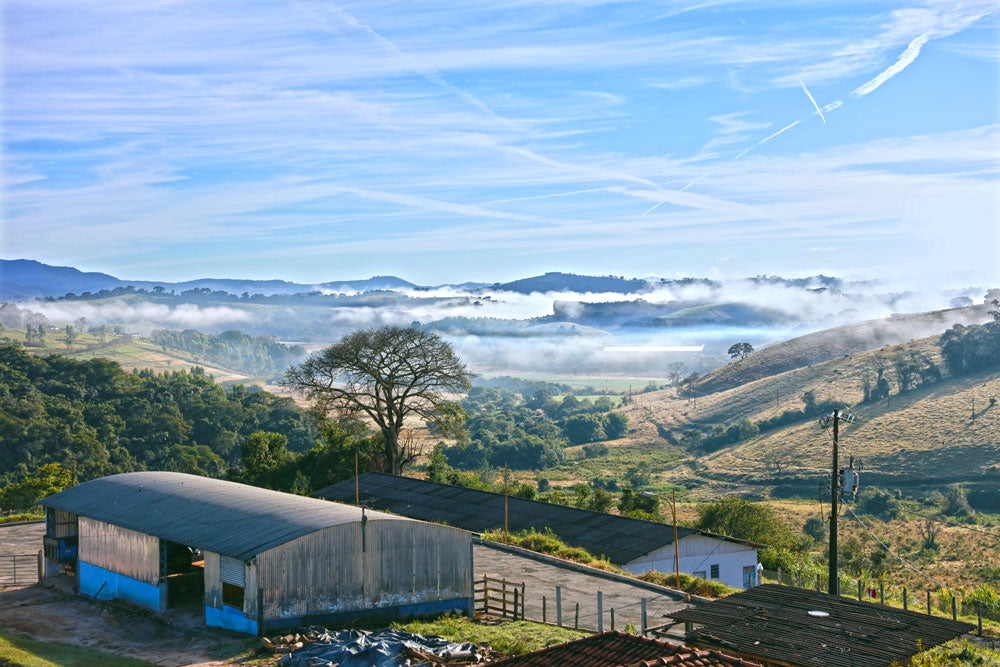 View of Carmo De Minas region of Brazil