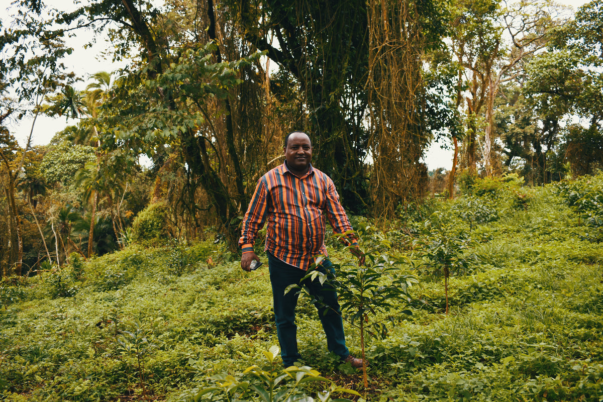Man standing in a lush green forest