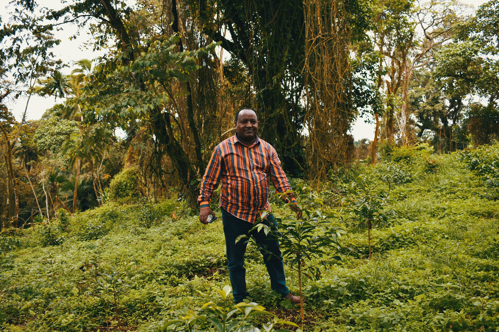 Man standing in a lush green forest