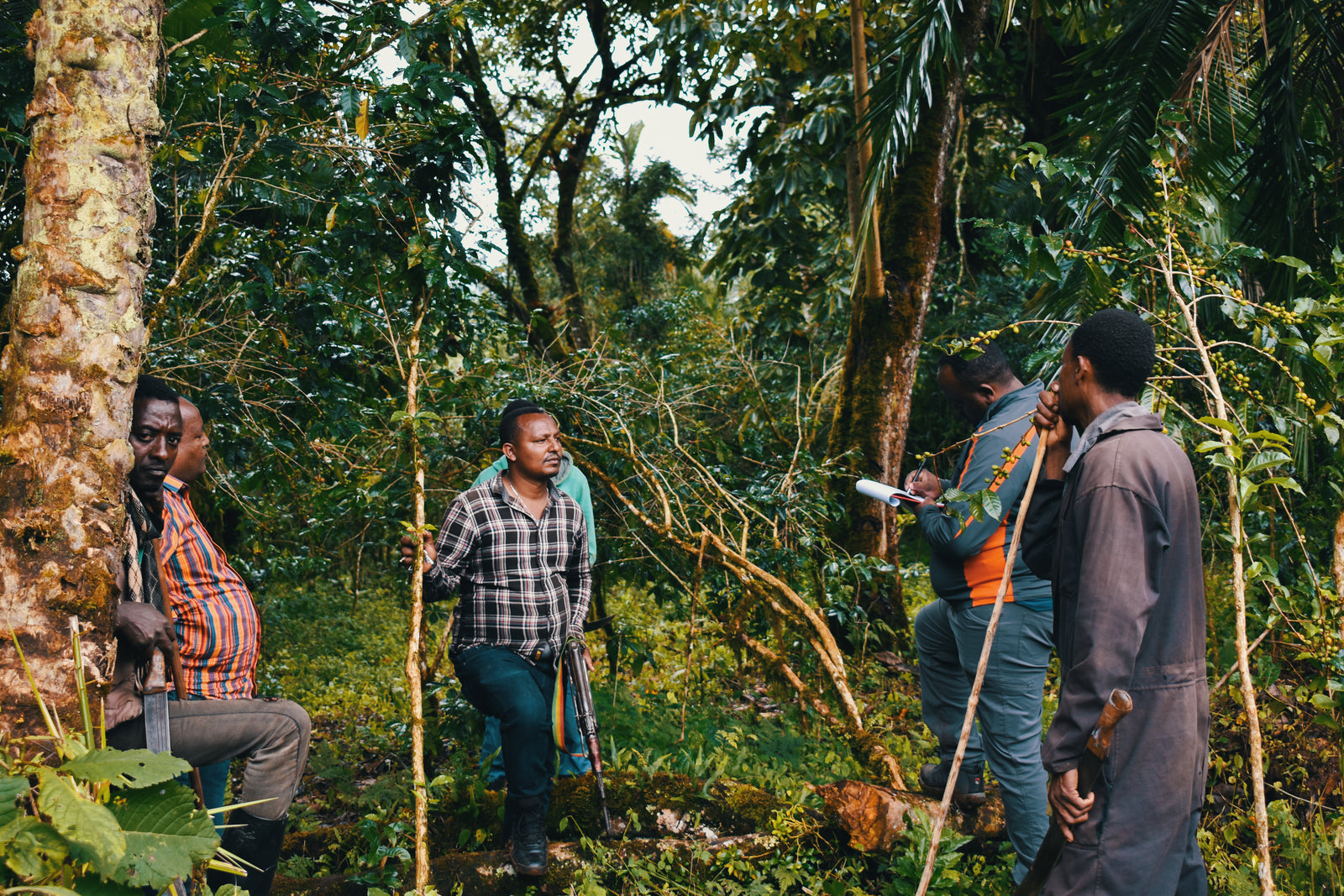 Group of people in a forest setting with trees and greenery around.