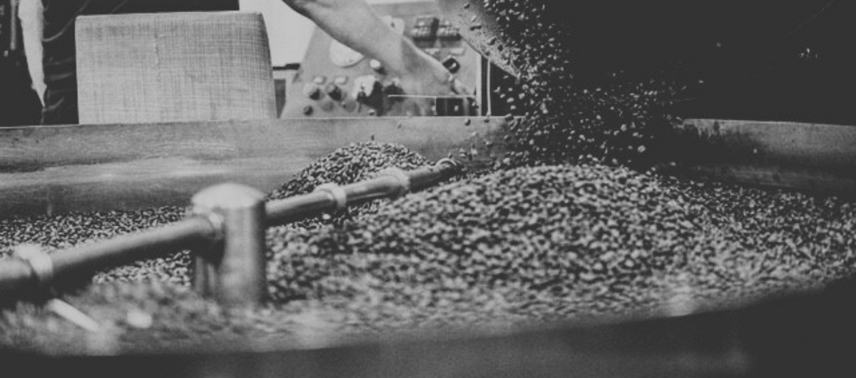 Coffee beans cooling in a tray of a roaster machine
