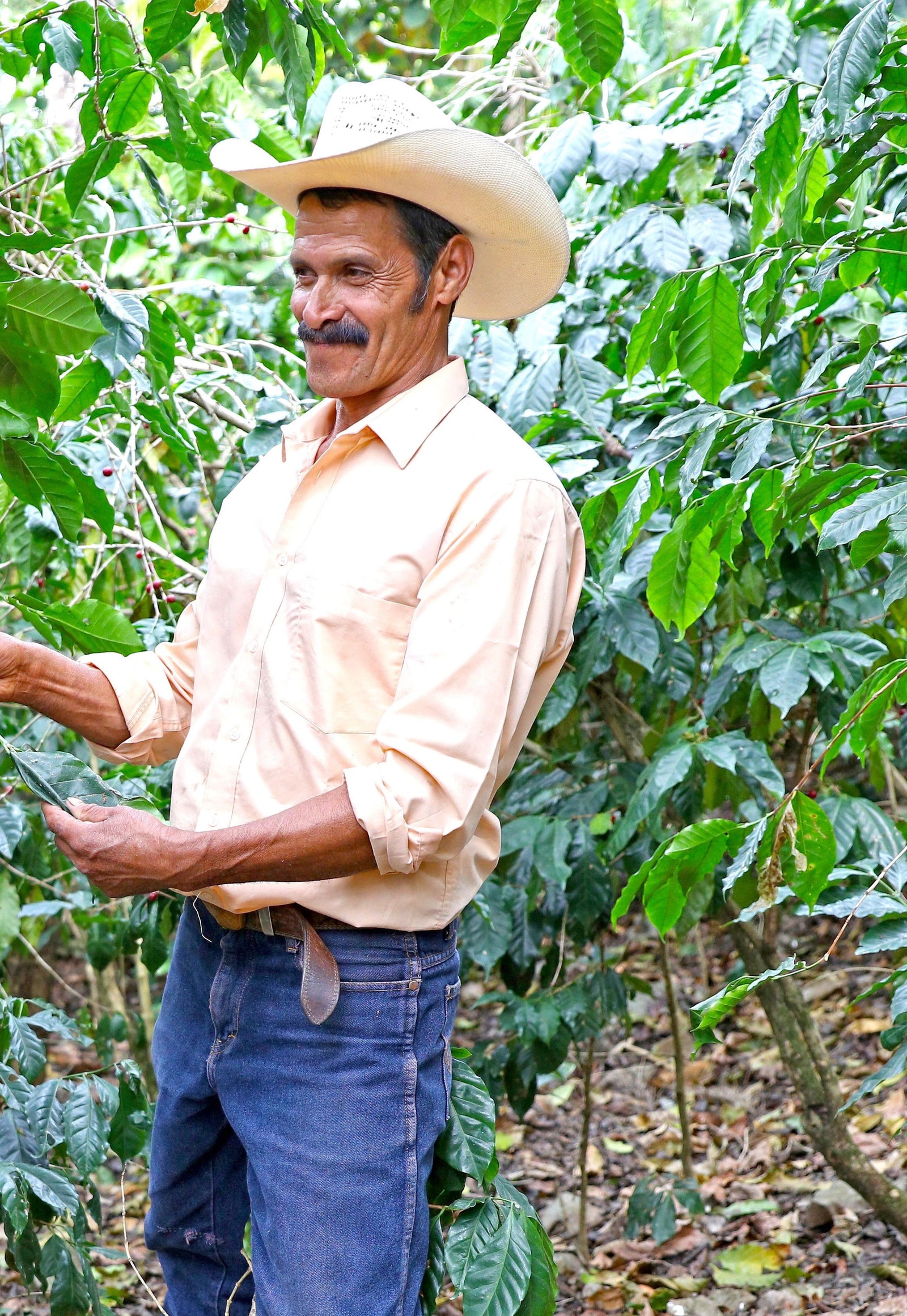 Guatemalan farmer smiling while he talks about his coffee farm